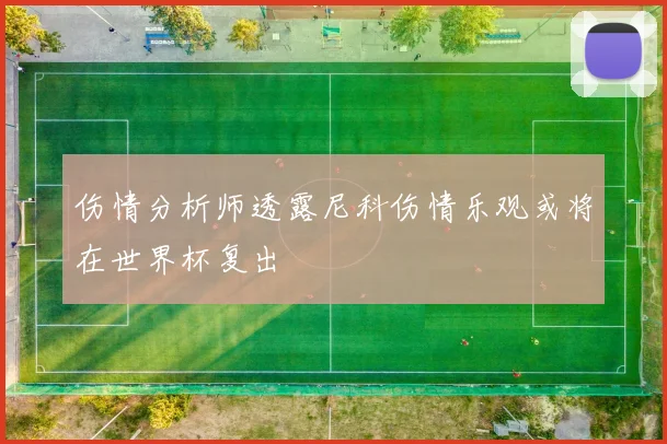 伤情分析师透露尼科伤情乐观或将在世界杯复出