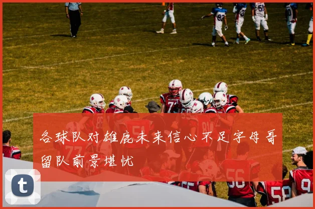 各球队对雄鹿未来信心不足字母哥留队前景堪忧